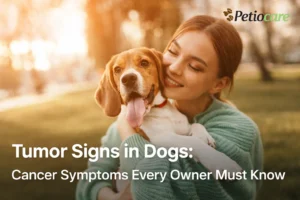 early tumor signs in dogs