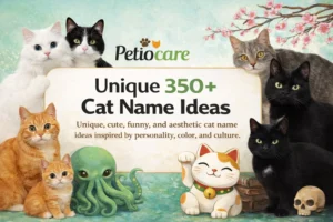 cat name ideas